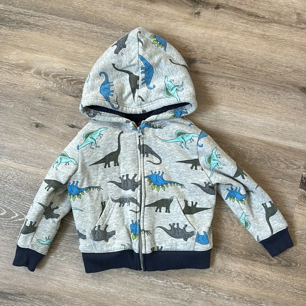 Toddler Boys Dinosaur Print Fleece Sherpa Lined Zip Up Hoodie 3t